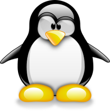 Hospedagem Linux